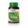 Soria Natural Green Vit&Min 02 Rhodiola 30 Cápsulas