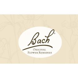 Floral de Bach Red Chestnut - 20 ml