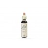 Floral de Bach Walnut - 20ml