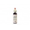 Floral de Bach White Chestnut - 20ml