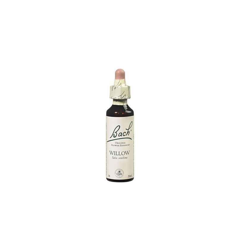 Floral de Bach Willow - 20ml