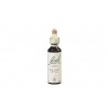 Floral de Bach Willow - 20ml