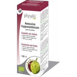 Physalis AESCULUS...