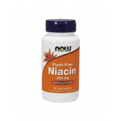 Now Flush-Free Niacin 250...