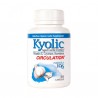 Kyolic 106 - Proteção Cardiovascular 100 cápsulas