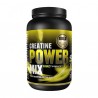 Gold Nutrition Creatine Power Mix Laranja/Manga1Kg