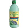 E.S.I Aloe Vera Juice Com Mirtilho 1000ml