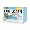 Dietmed Cartilogen Elastic 20x15ml