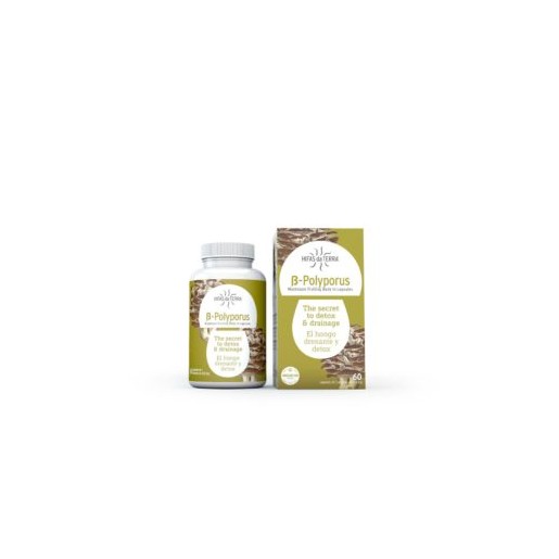 HIFAS DA TERRA® B-POLYPORUS 60 CAPSULAS