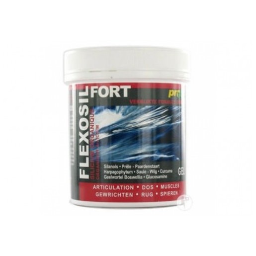 FLEXOSIL FORTE GEL 200 ML