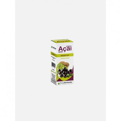 Novo Horizonte Açai com Kiwi 500ml