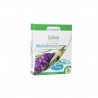 Drasanvi Nutrabasics Salvia 30 cápsulas vegetais