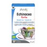 Physalis - Echinacea Forte Infusão 20 Saquetas