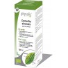 Physalis - Camellia Sinensis Gotas 100ml