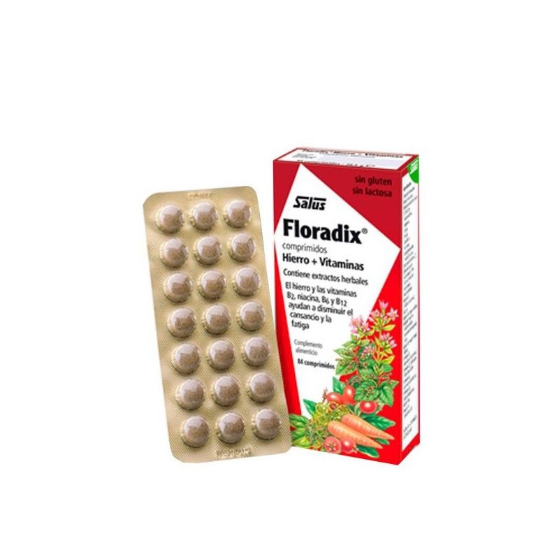 Salus Haus - Floradix 84 Comprimidos