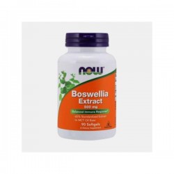 Now Boswellia Extract 500mg 90 Cápsulas