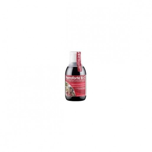 Natural e Eficaz Ferroforte B+C 500ml