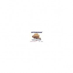 Natural e Eficaz Artribosan 60 Cápsulas