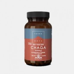 Terra Nova Chaga 500mg 50 Cápsulas