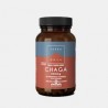 Terra Nova Chaga 500mg 50 Cápsulas