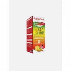 CHI Pulmoflora Xarope 250ml