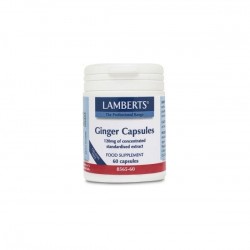 Lamberts Ginger 120mg 60 Cápsulas