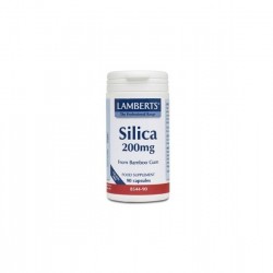 Lamberts Silicon 200 Mg 90 Comprimidos