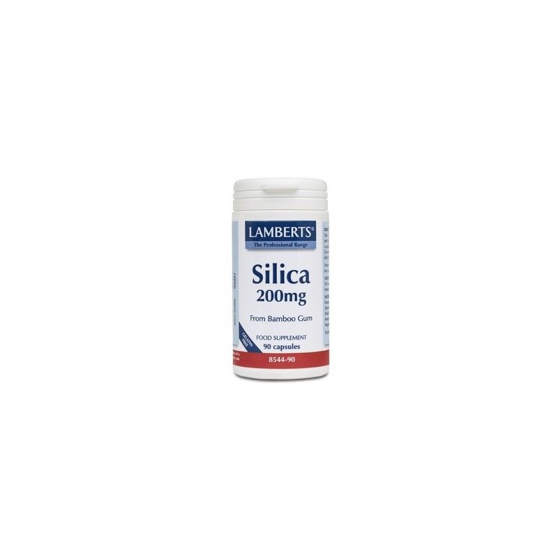 Lamberts Silicon 200 Mg 90 Comprimidos