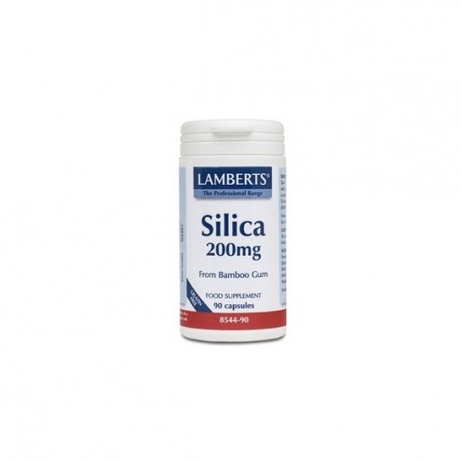 Lamberts Silicon 200 Mg 90 Comprimidos