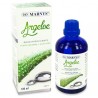 Marnys Argeloe Oil 100ml