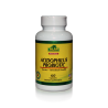 Alfa Vitamins - ACIDOPHILUS PROBIOTIC 60 cápsulas