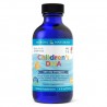 Nordic - Children's DHA 119ml