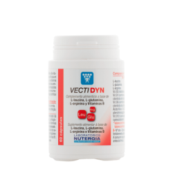 Nutergia Vectidyn 60 cápsulas