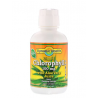 DYNAMIC HEALTH CLOROFILA + SUMO DE ALOE VERA – 473ML