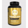 Gold Nutrition Tribulus 60 cápsulas