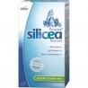 Hubner - Original Silicea gel 500 ml